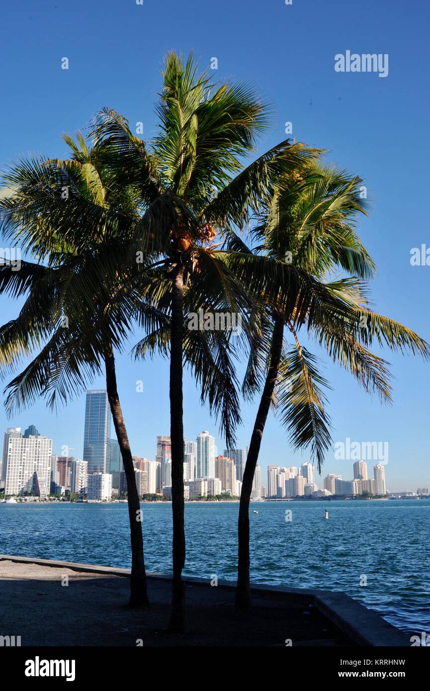 Brickell park hires stock photography and images Alamy