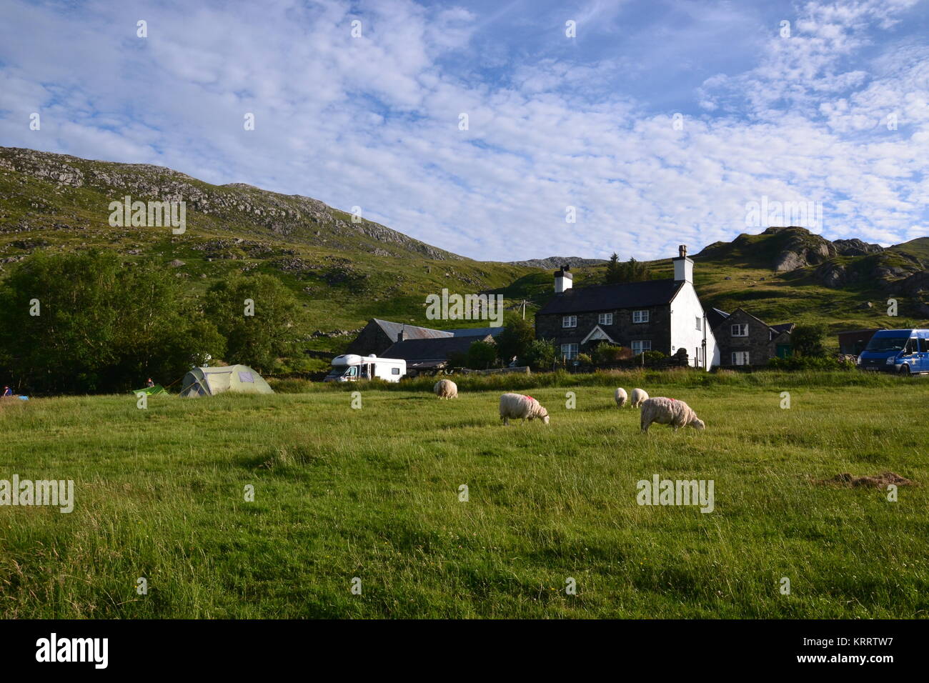 Sheep, tents and motorhome at Gwern Gof Usif Campsite at the foot of Mount Tryfan, Snowdonia, Wales, UK Stock Photo