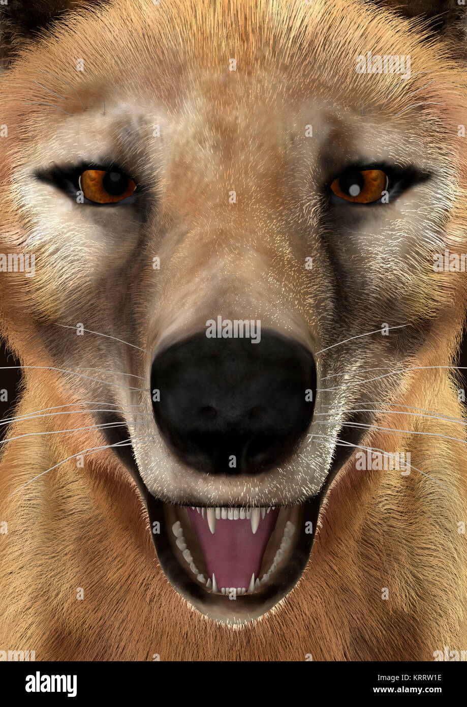 3D Rendering Thylacine Stock Photo