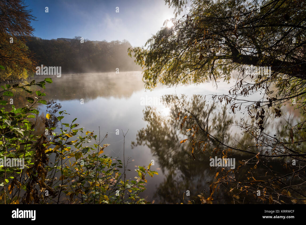 Abziehender Nebel,Tanzende Blätter Im Herbst Bei Langer Belichtung ...