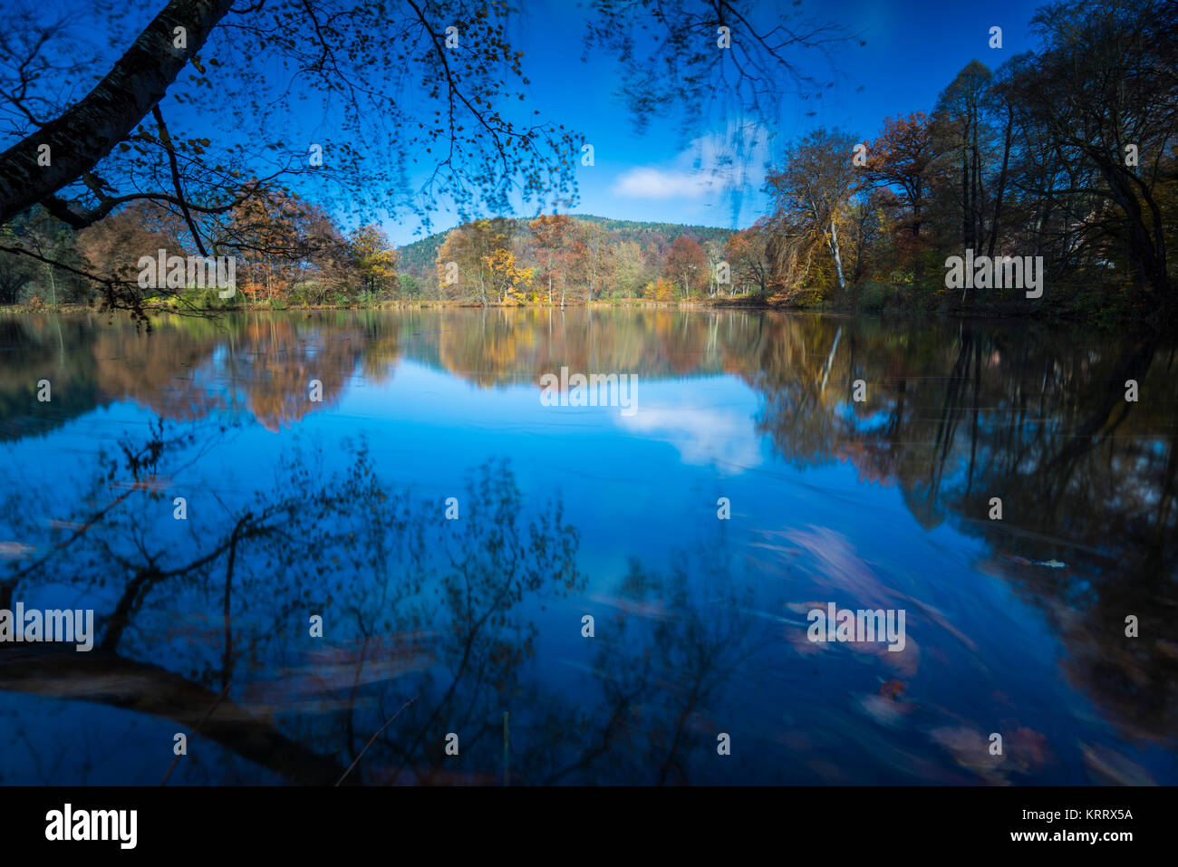 Tanzende Blätter im Herbst bei langer Belichtung, buntes Herbstlaub und deren Wanderung auf einem See, blauer Himmel und bunter Herbst am Wasser Stock Photo