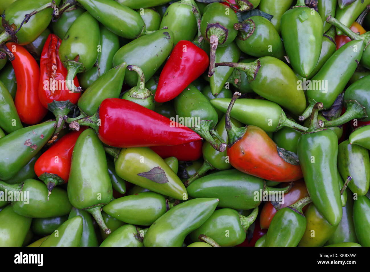 Green hot jalapeno chili peppers close up Stock Photo Alamy