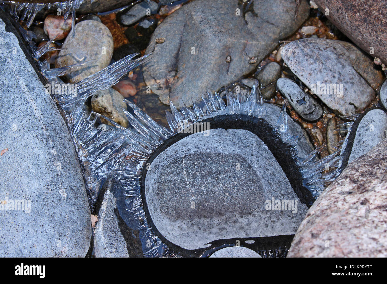 Shards of ice grow outward on river rocks in the Poudre Canyon in Colorado Stock Photo