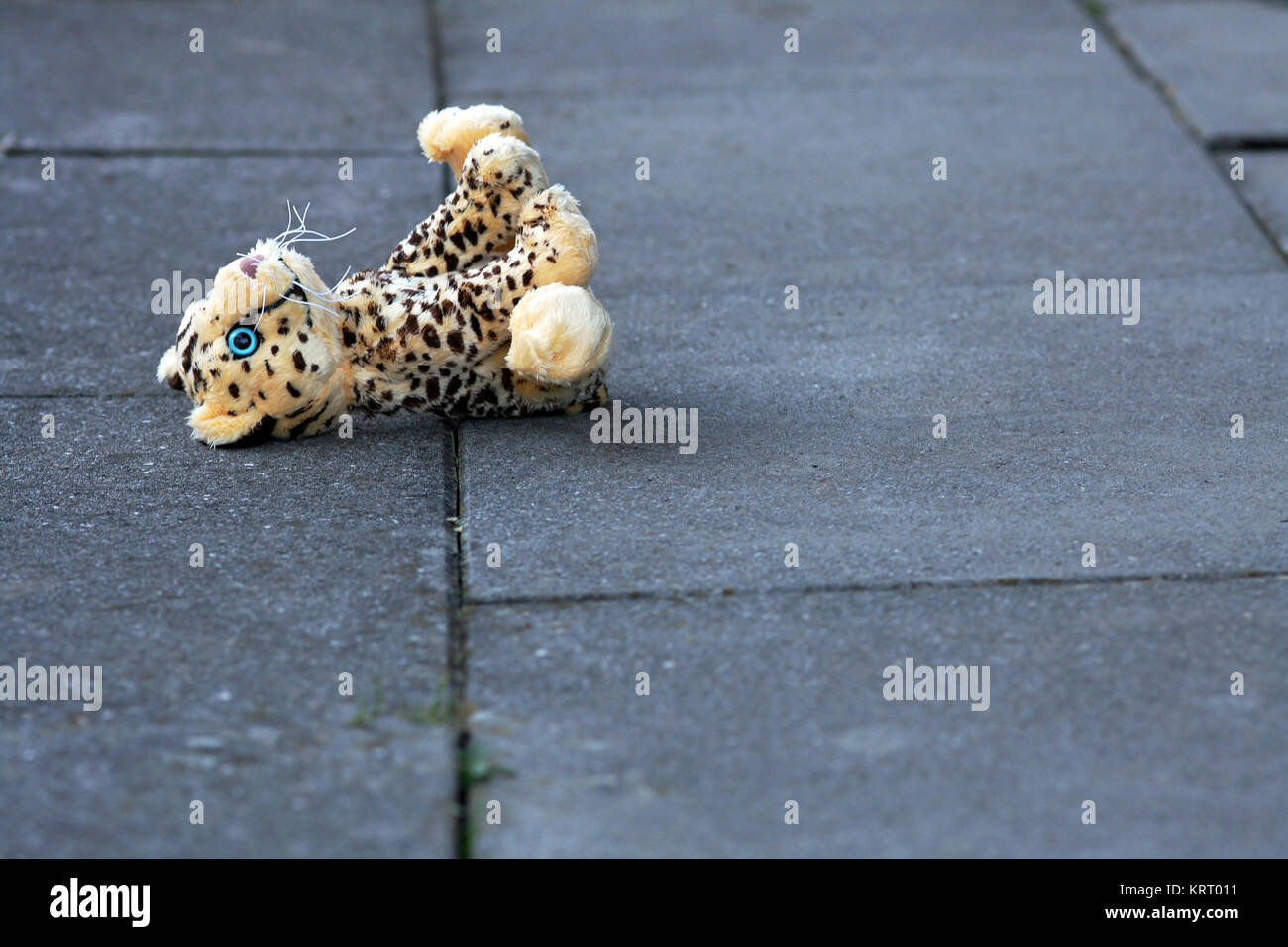 a lost stuffed animal on the ground. the forgotten toy Stock Photo