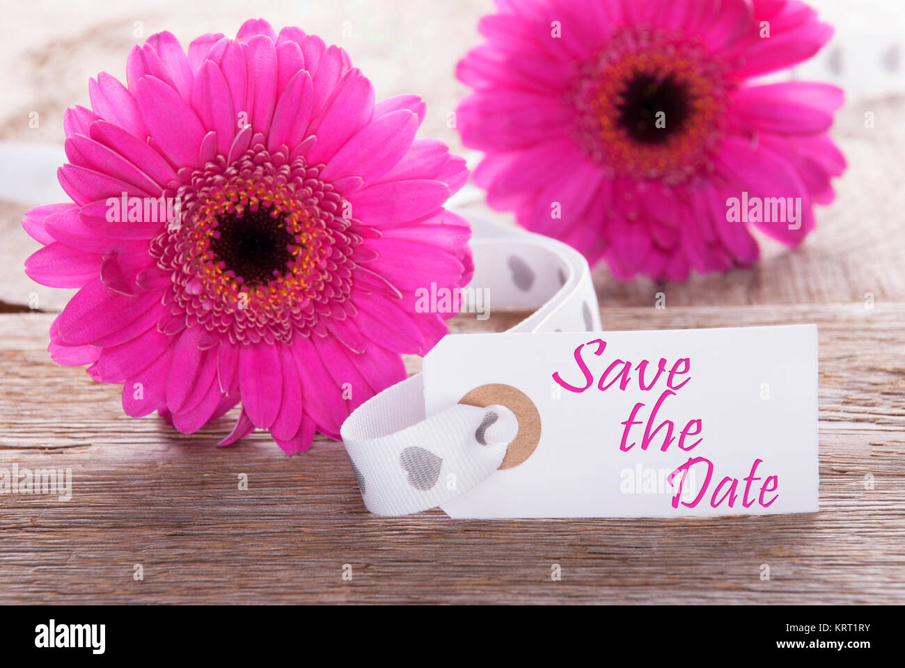 Label With English Text Save The Date Pink Spring Gerbera Blossom Vintage Rutic Or Aged Wooden Background Card For Spring Greetings Stock Photo Alamy