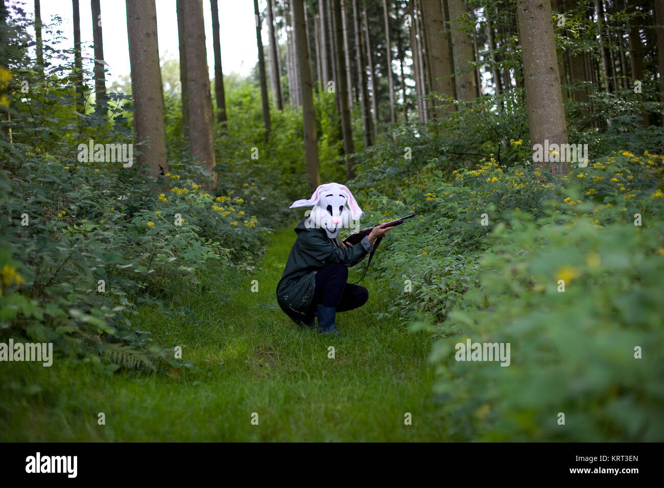 white rabbit hunter Stock Photo - Alamy