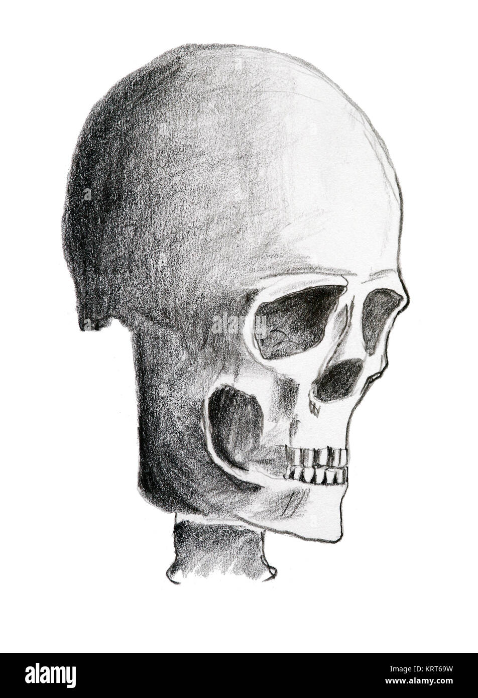 Hand drawing of the skull - pencil on paper Stock Photo