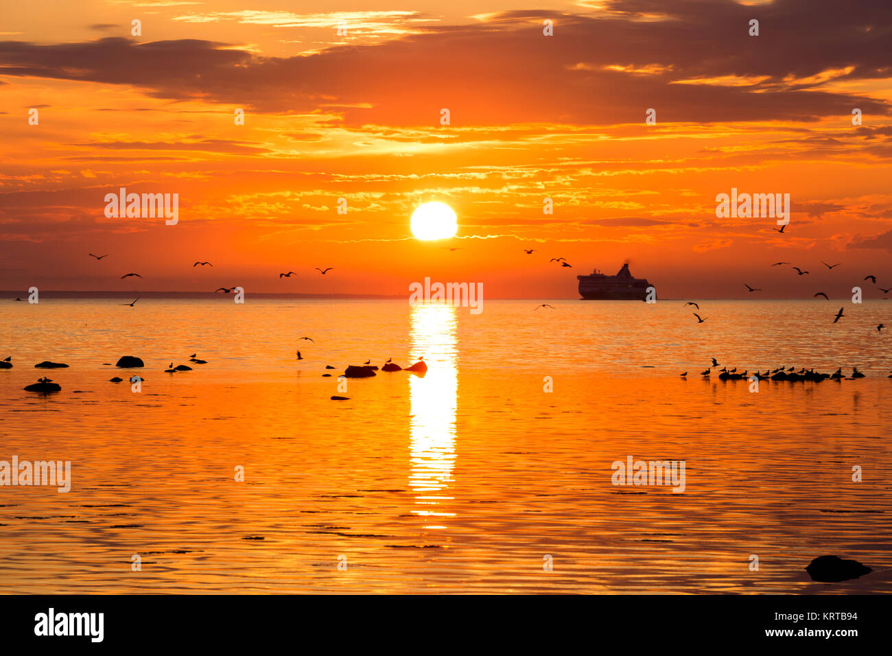 Cruise liner ship in sunset in sea Stock Photo - Alamy