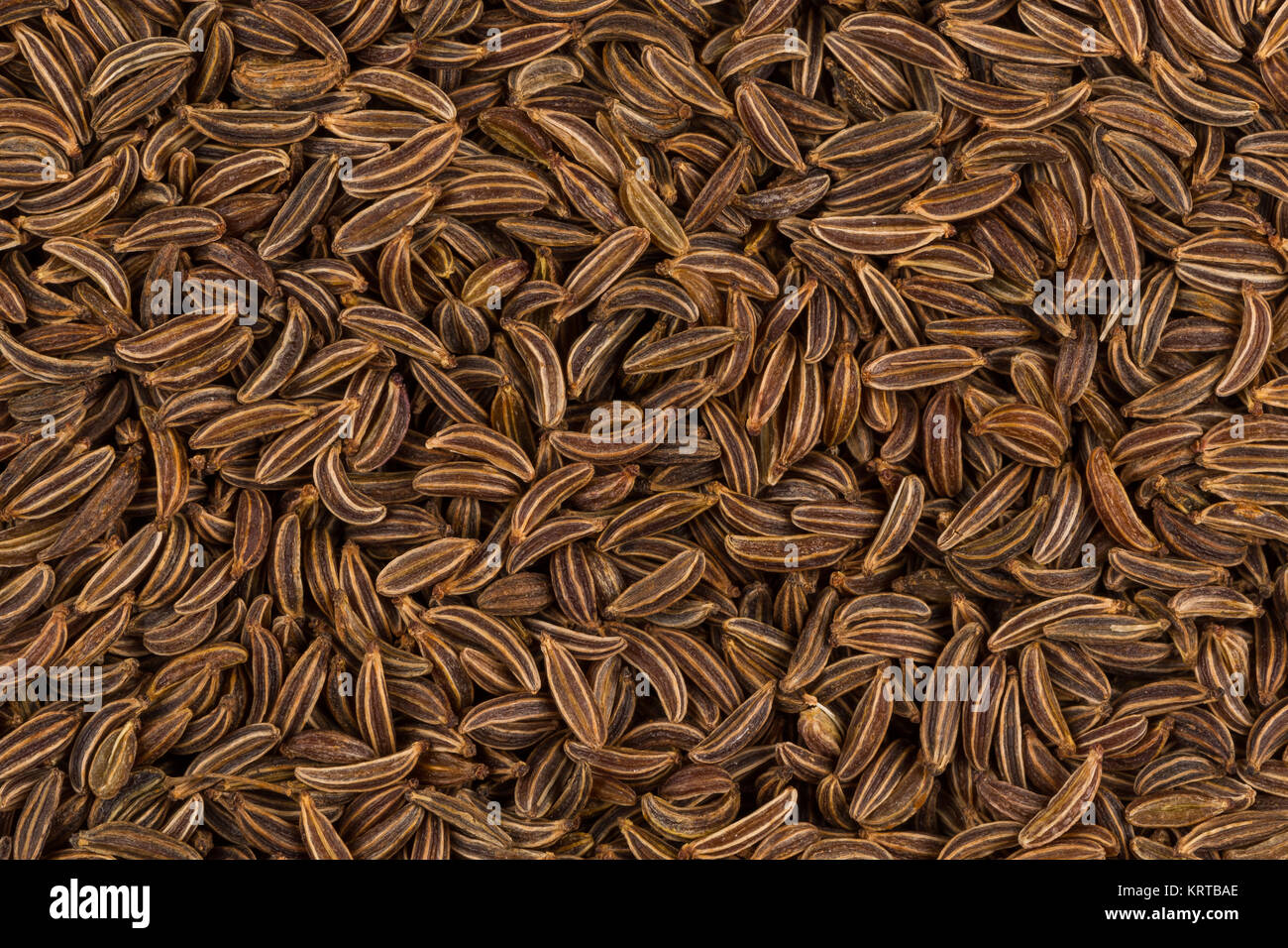 Close up caraway seeds Stock Photo - Alamy