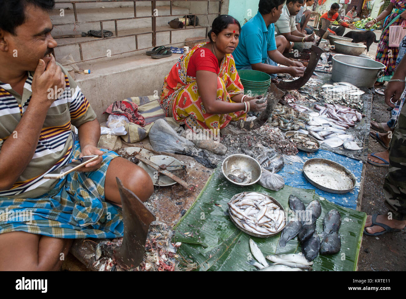 The fish market in india hires stock photography and images Alamy