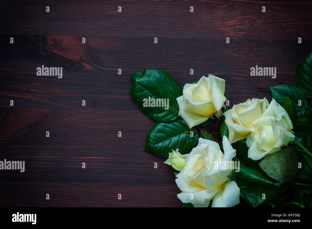 bouquet of white roses blooming on a brown wooden background Stock ...