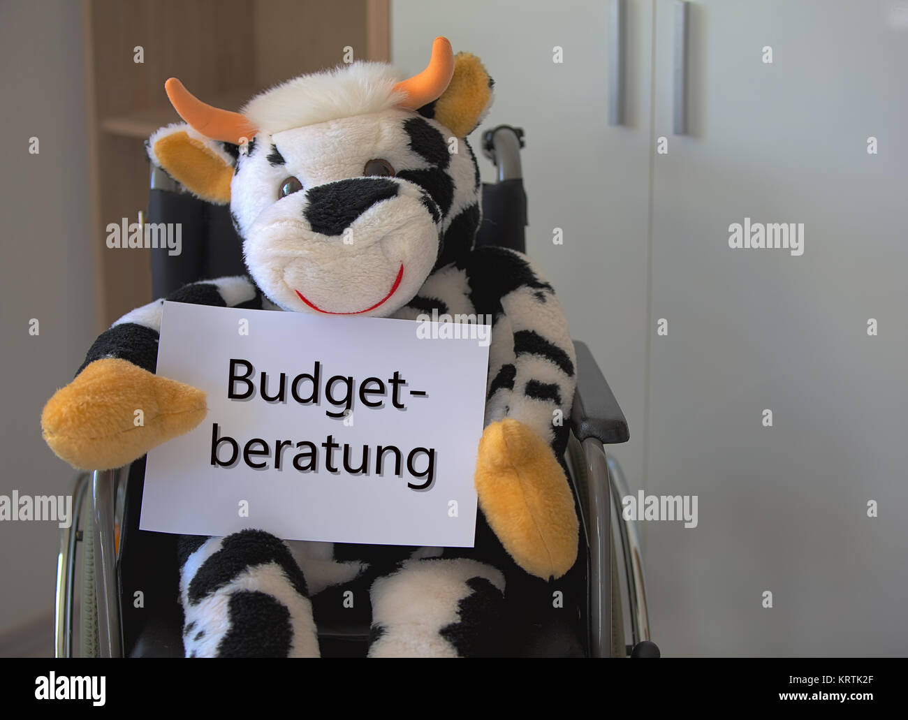 plush cow sitting in a wheelchair and holding a sign budgetberatung Stock Photo