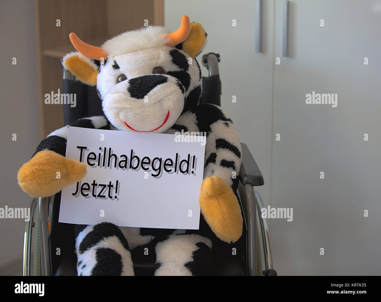 plush cow sitting in a wheelchair and holding a sign Stock Photo