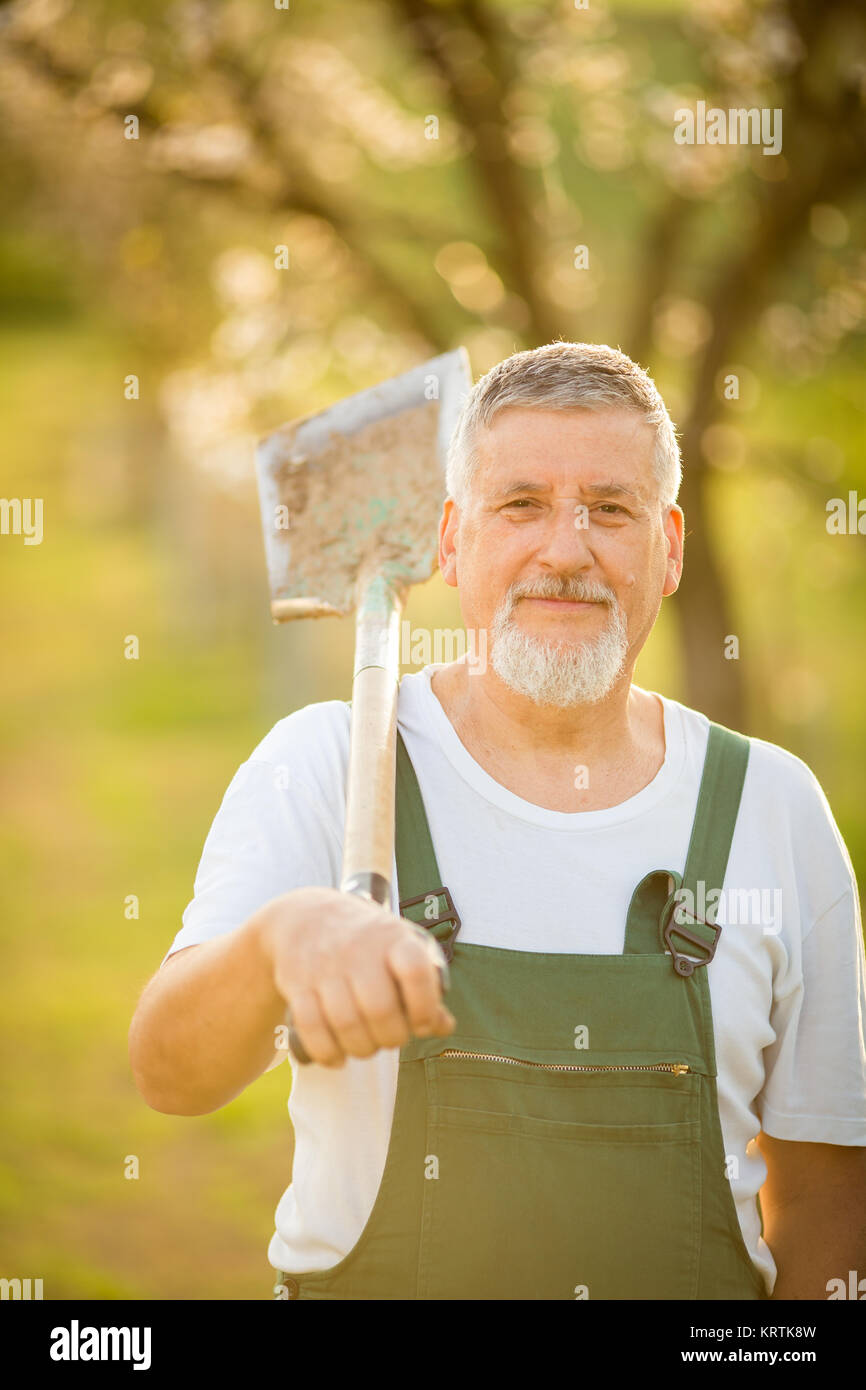 Portrait of a handsome senior man gardening in his garden, on a lovely spring day (color toned image) Stock Photo