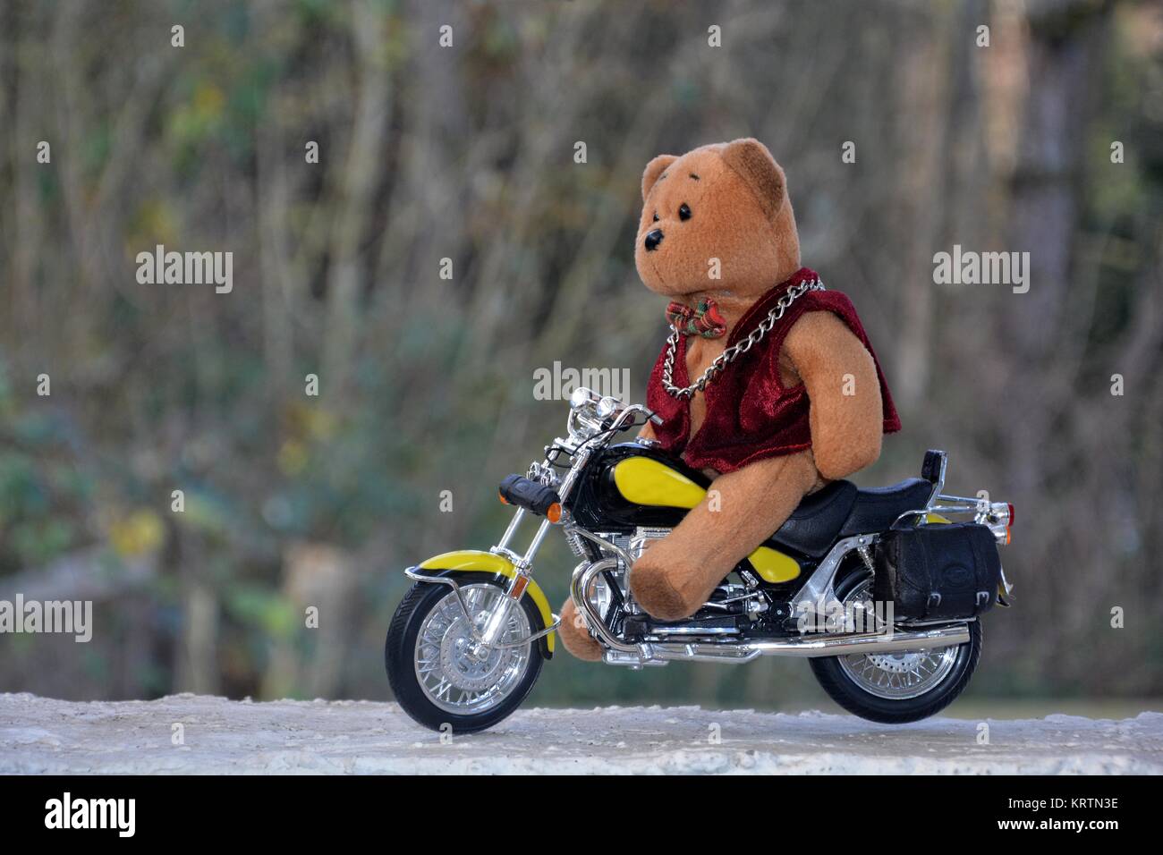 Teddy bear cheap biker