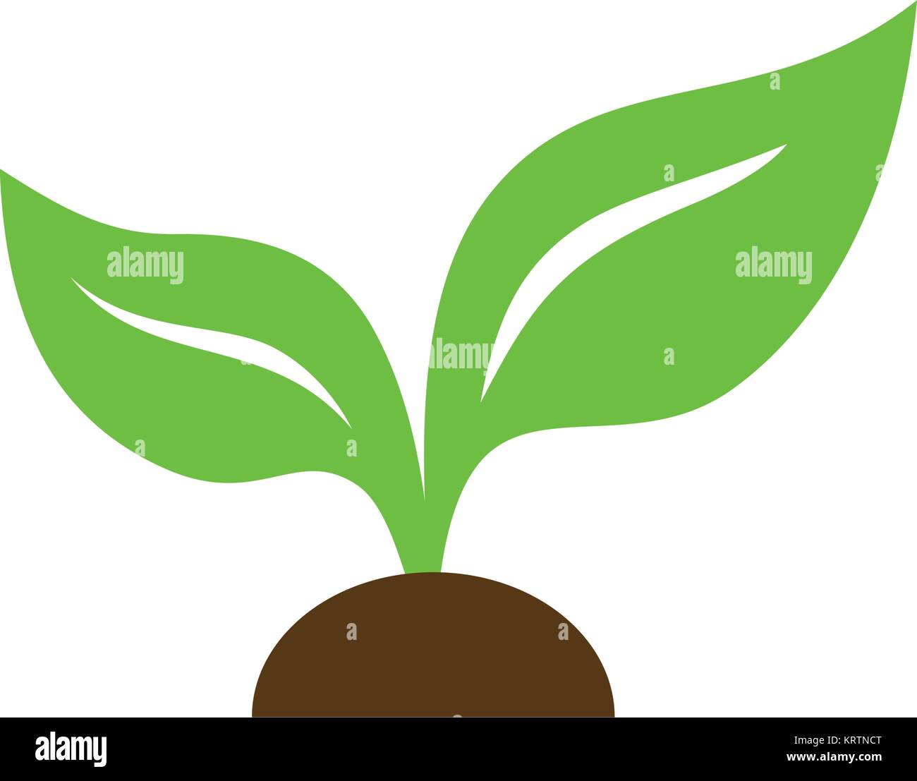 Eco icon green leaf vector illustration isolated Stock Vector Image ...