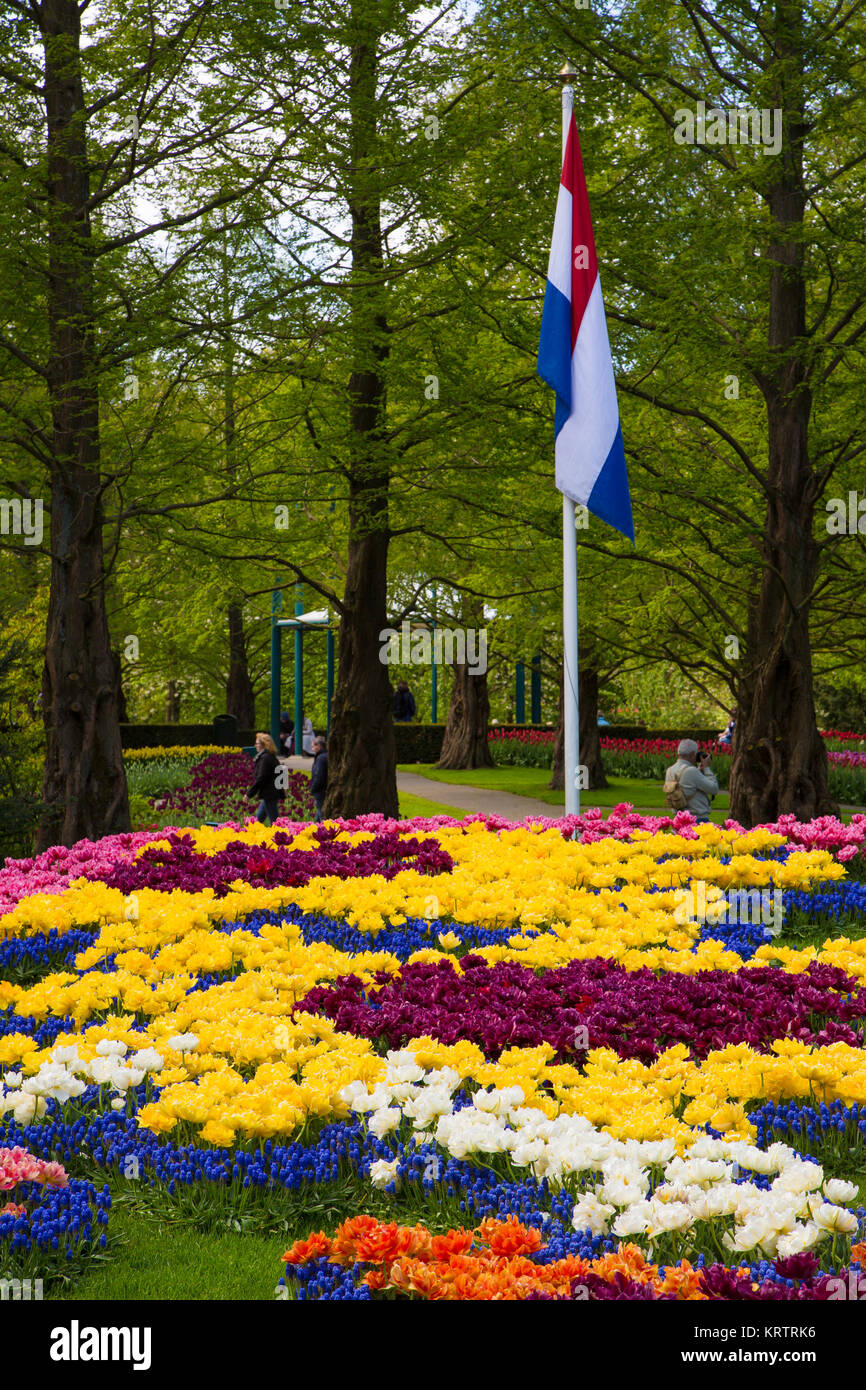 Colorful tulips in the Keukenhof garden, Holland Stock Photo - Alamy