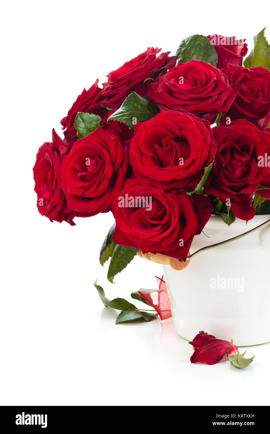 Red roses in bucket hi-res stock photography and images - Alamy