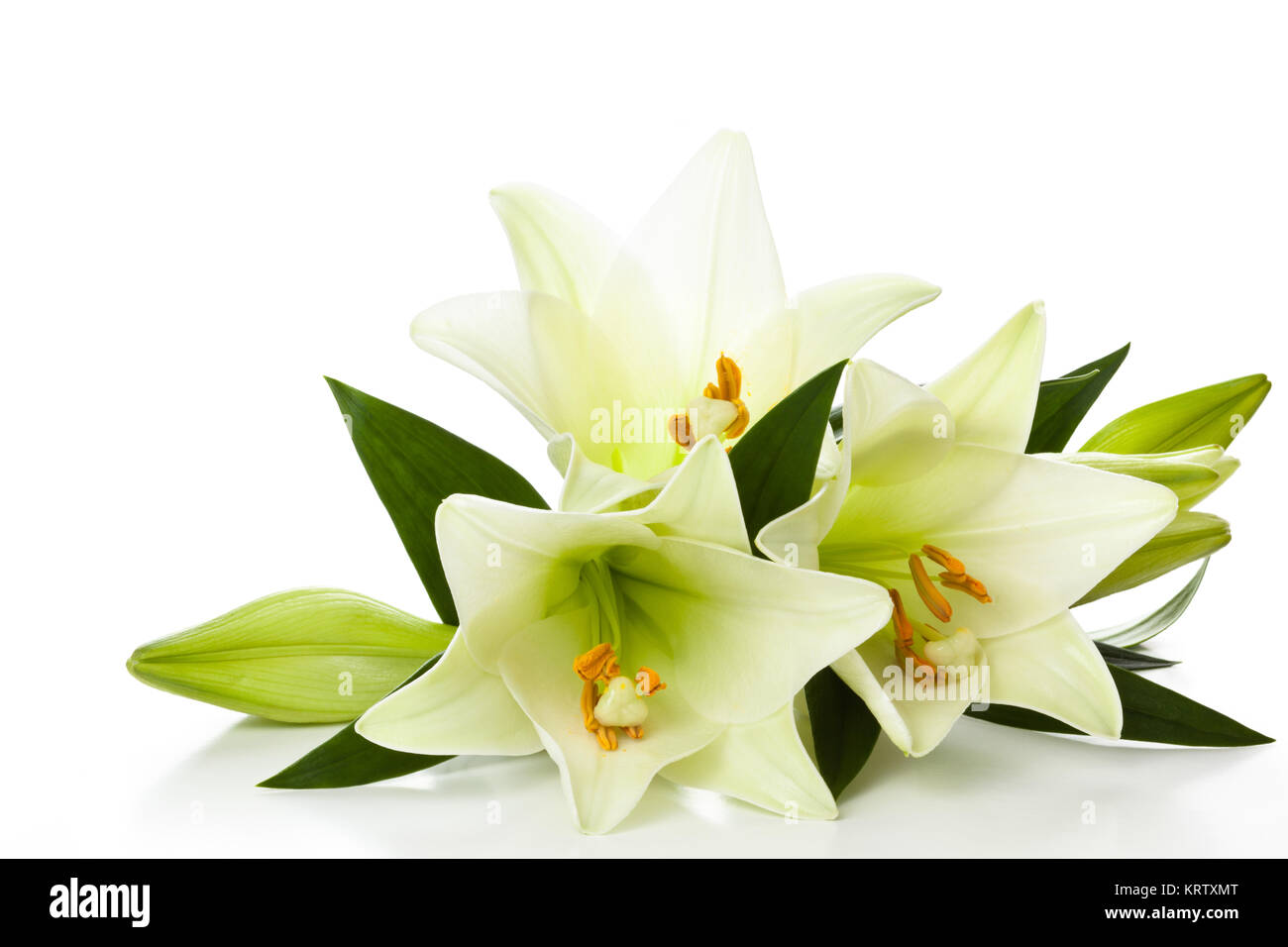 Easter lilies border hi-res stock photography and images - Alamy