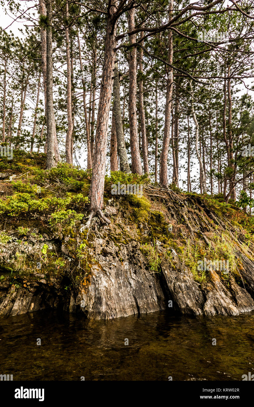 family kayaking on flying pond, mount vernon, maine Stock Photo Alamy