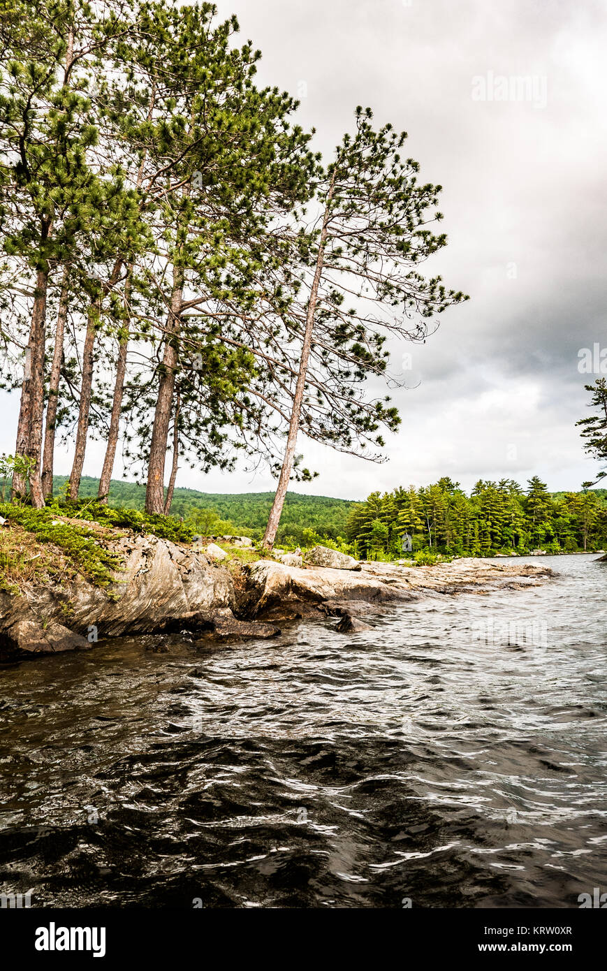 family kayaking on flying pond, mount vernon, maine Stock Photo Alamy