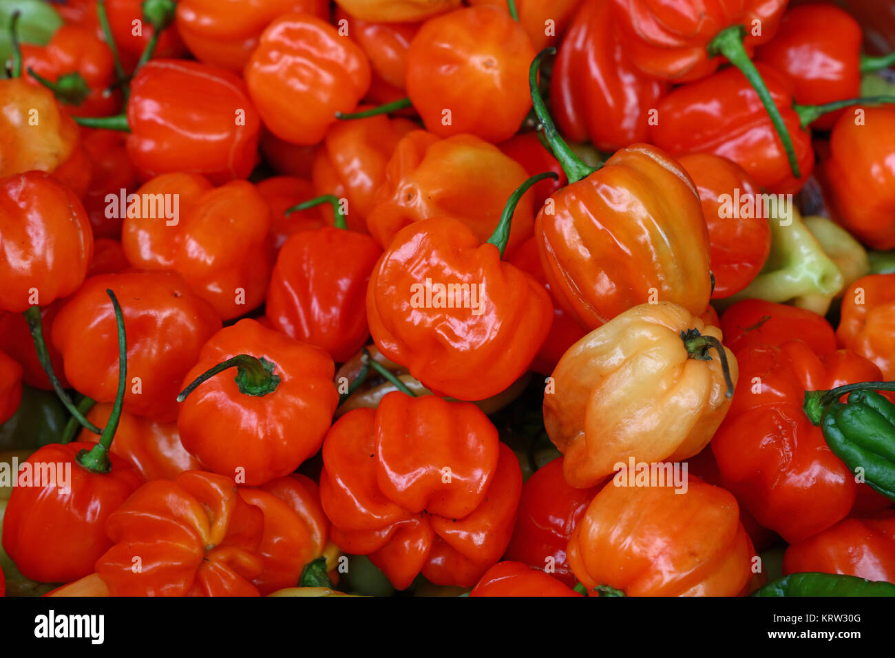 Sweet hot chili habanero orange peppers close up Stock Photo