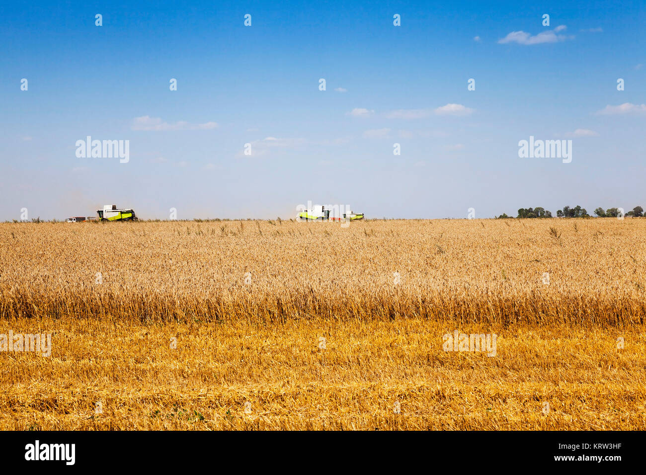 harvesting of cereals Stock Photo Alamy