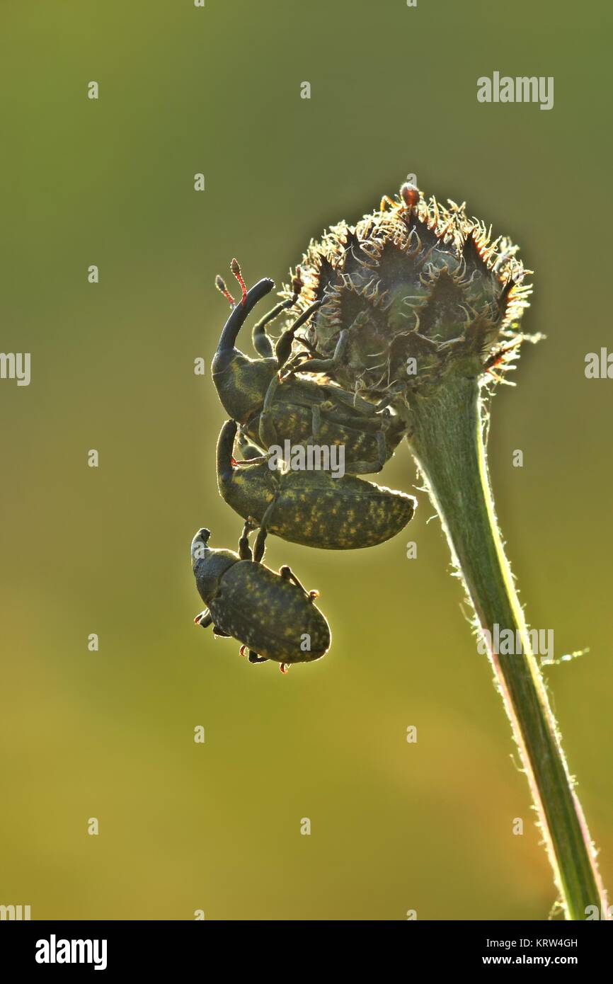 Just Hang Out Stock Photo Alamy