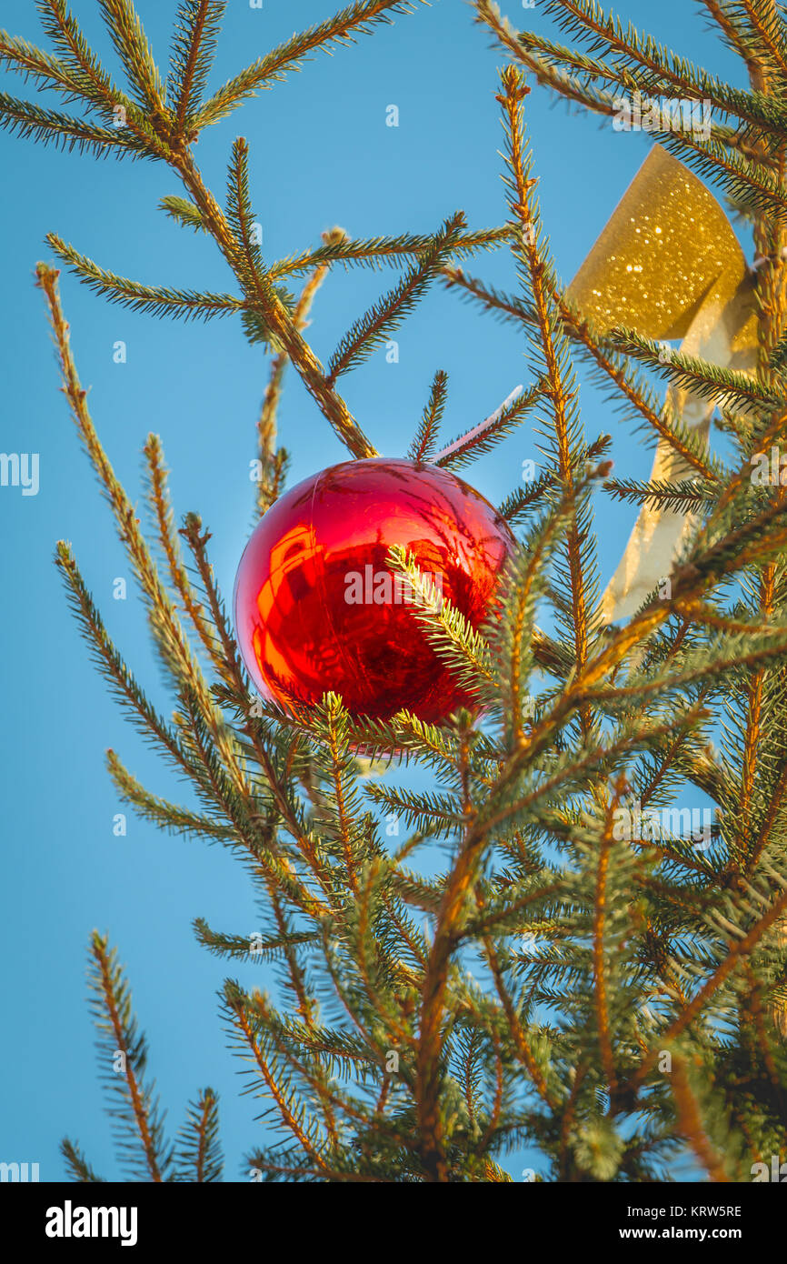 Red christmas ball hanging on a Christmas tree Stock Photo - Alamy