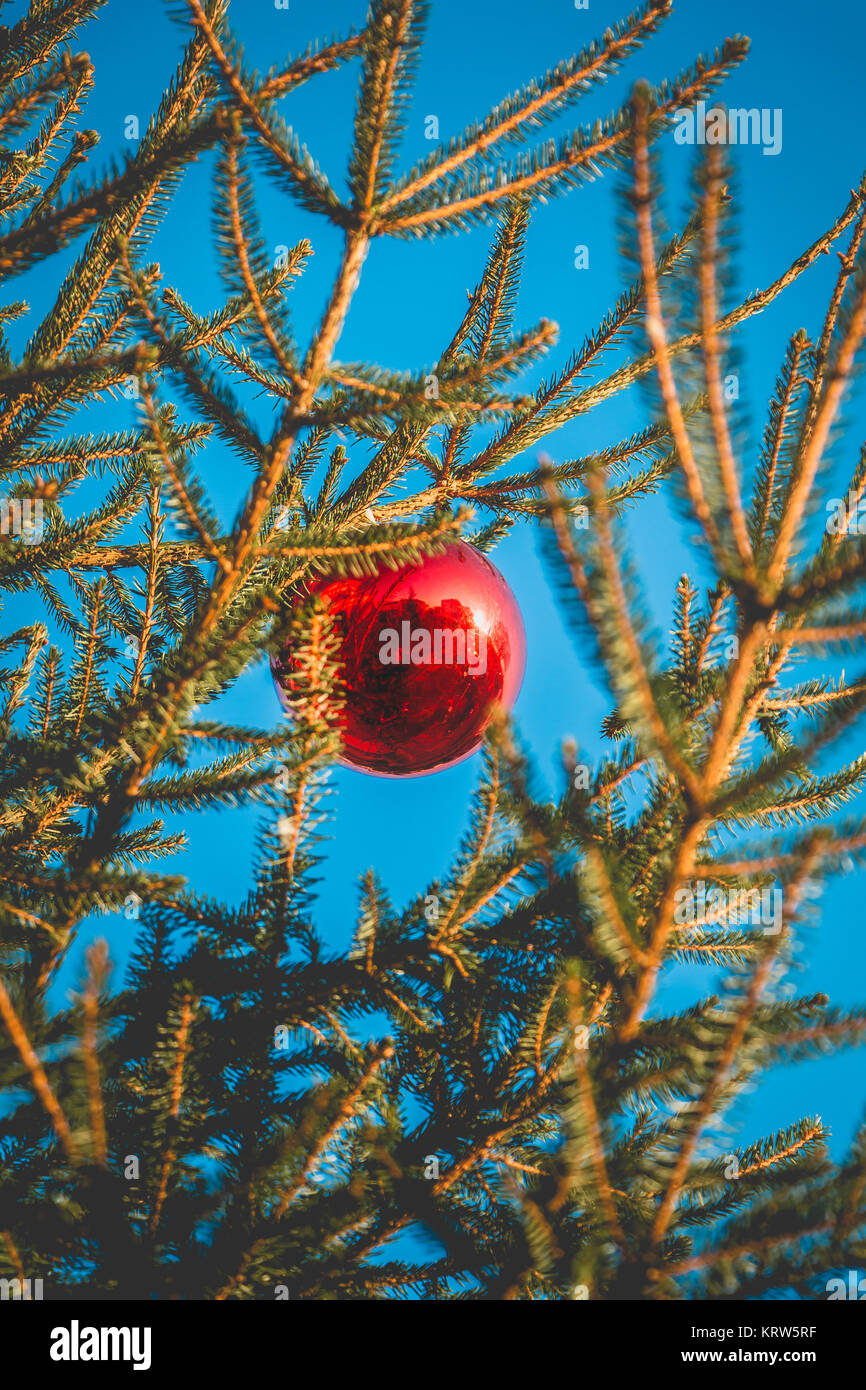 Red christmas ball hanging on a Christmas tree Stock Photo - Alamy