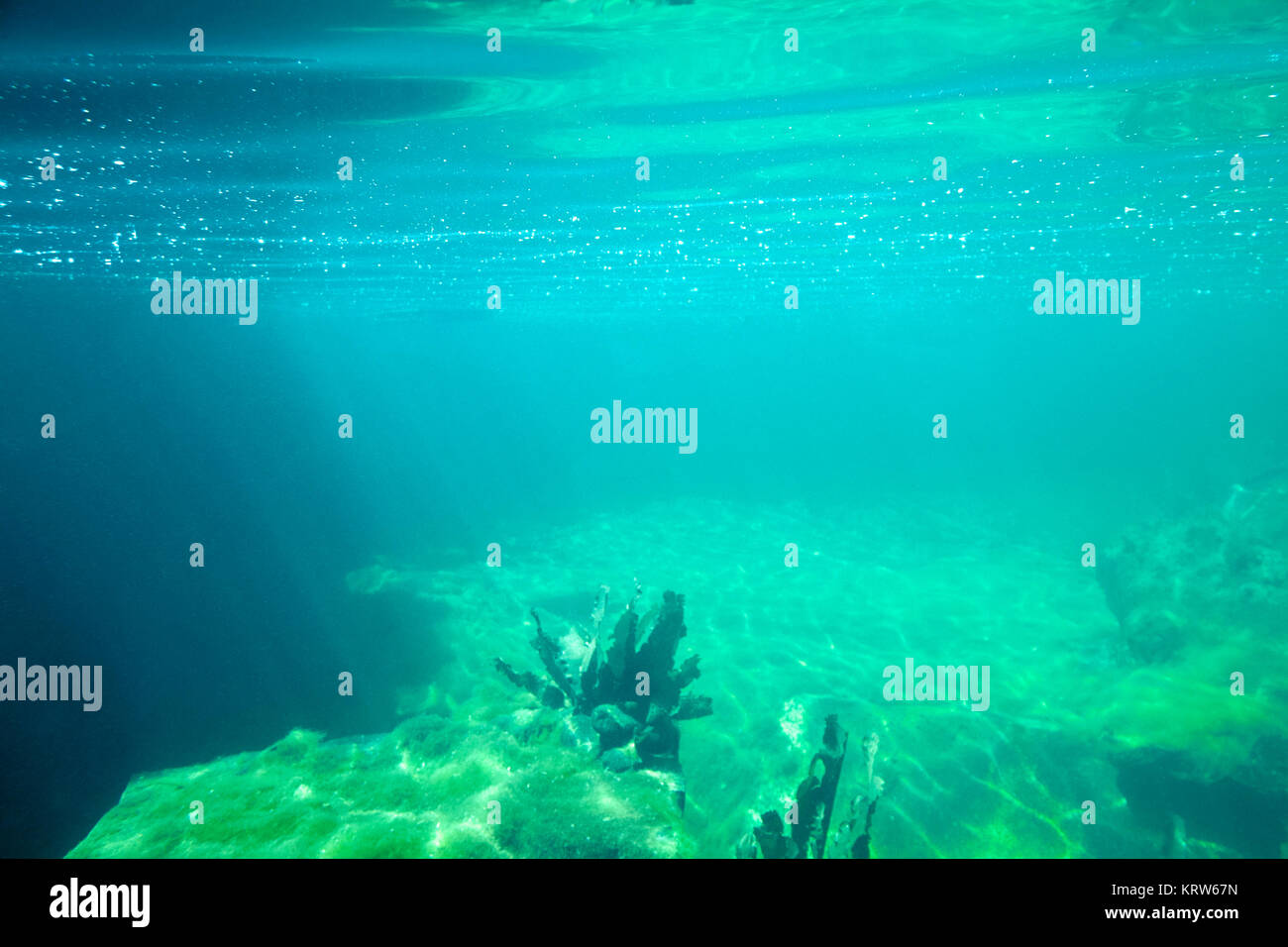underwater scenery Stock Photo