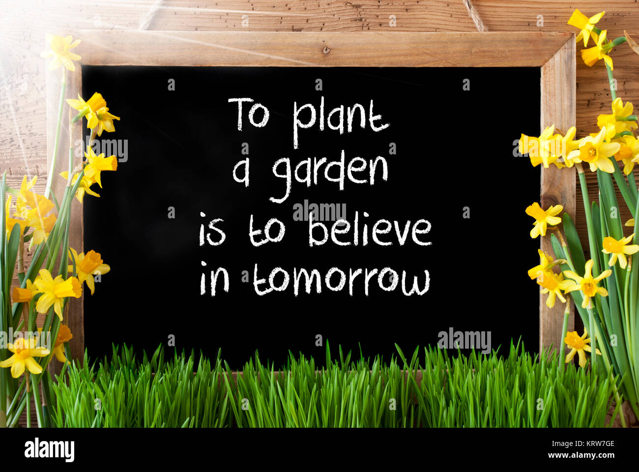 Blackboard With English Quote To Plant A Garden Is To Believe In