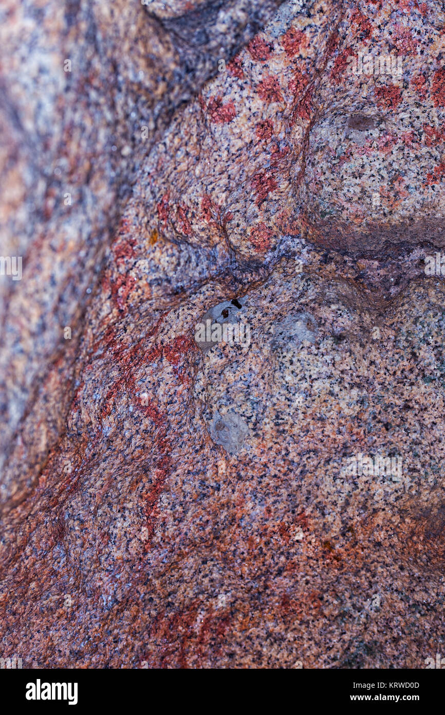 Cave paintings belong to the Chalcolithic period. Third millennium BC. Photographed in a cave known as Peña Caballera in the Area of Natural Los Barru Stock Photo