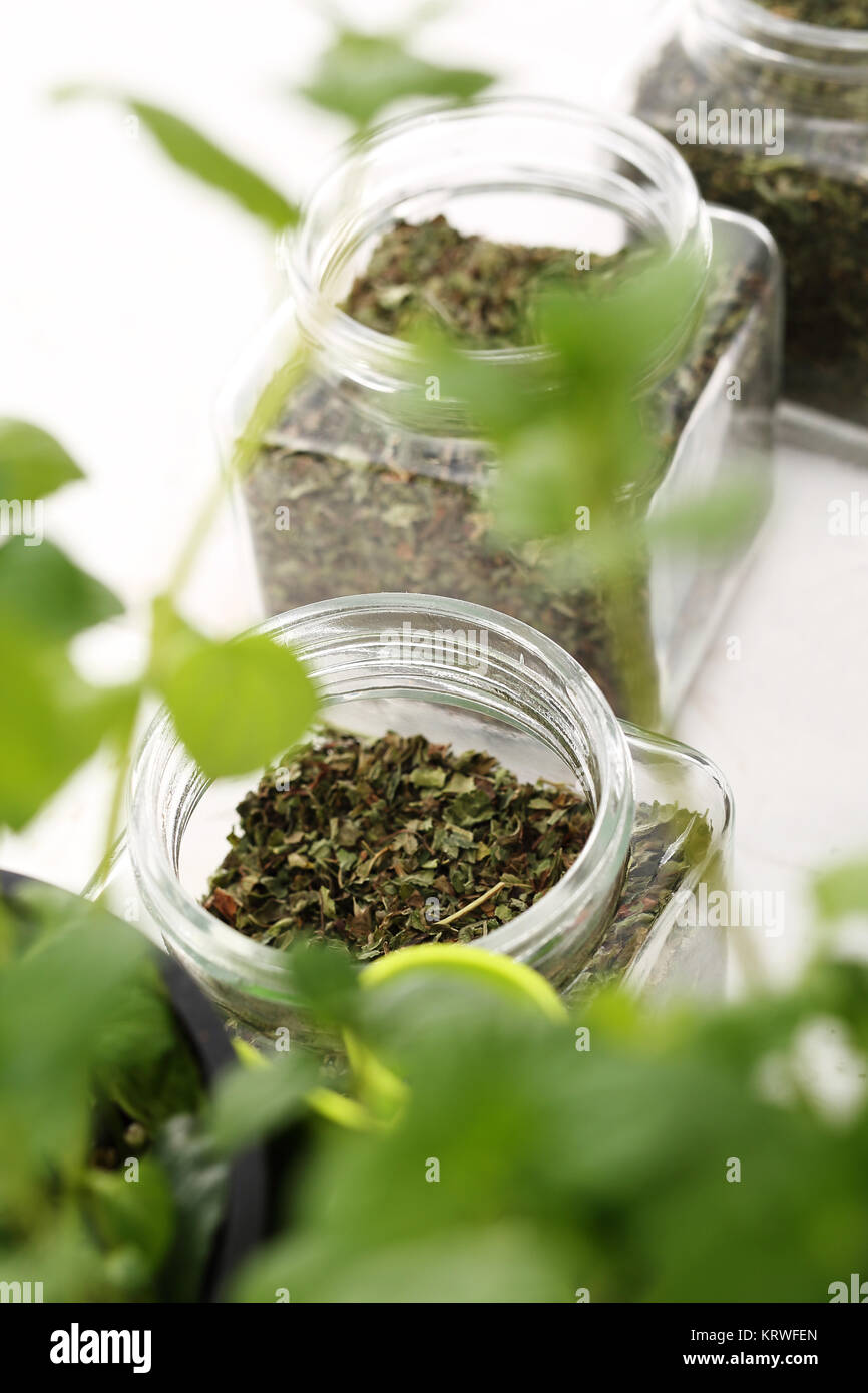 herbal medicine,herbal tea. herbs,healthy natural medicines. green