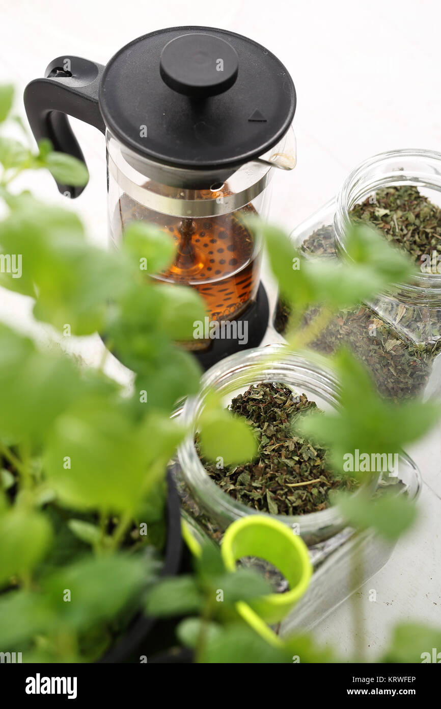 herbal medicine,herbal tea. herbs,healthy natural medicines. green