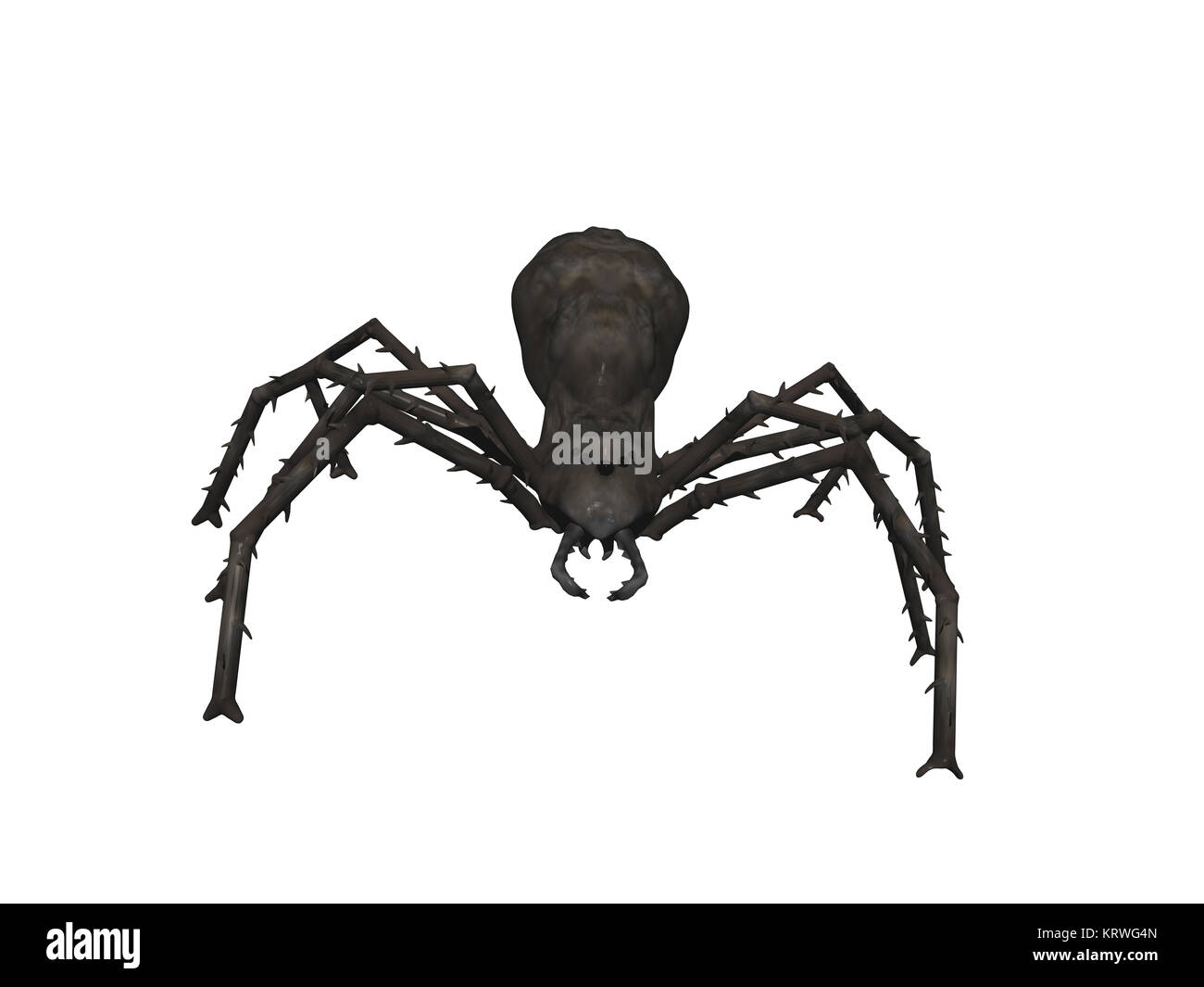 monster spider released Stock Photo - Alamy