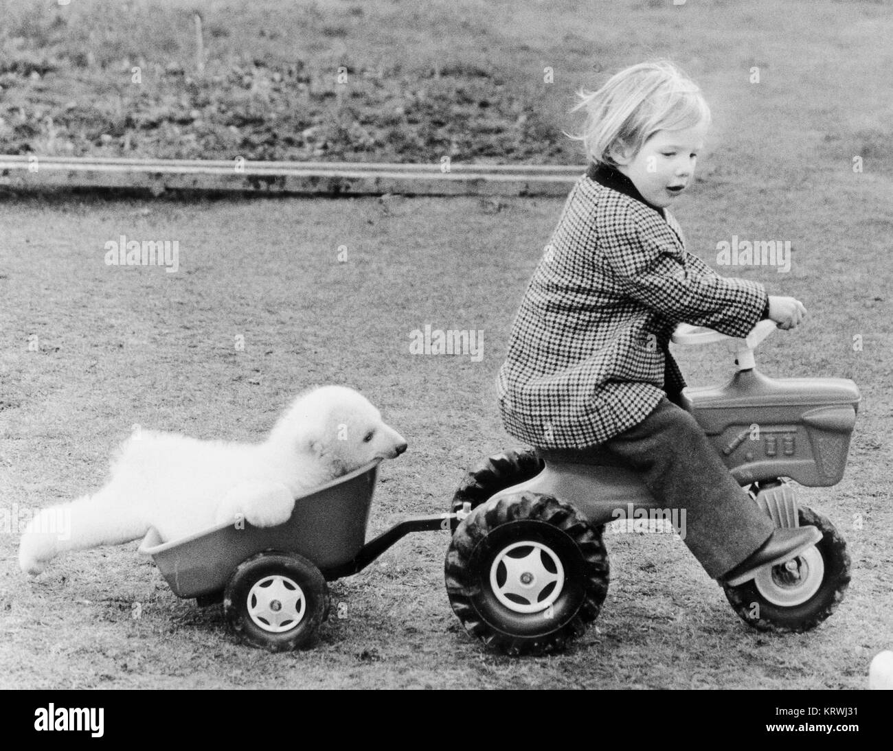 Little polar bear and girl with toy car, England, Great Britain Stock Photo