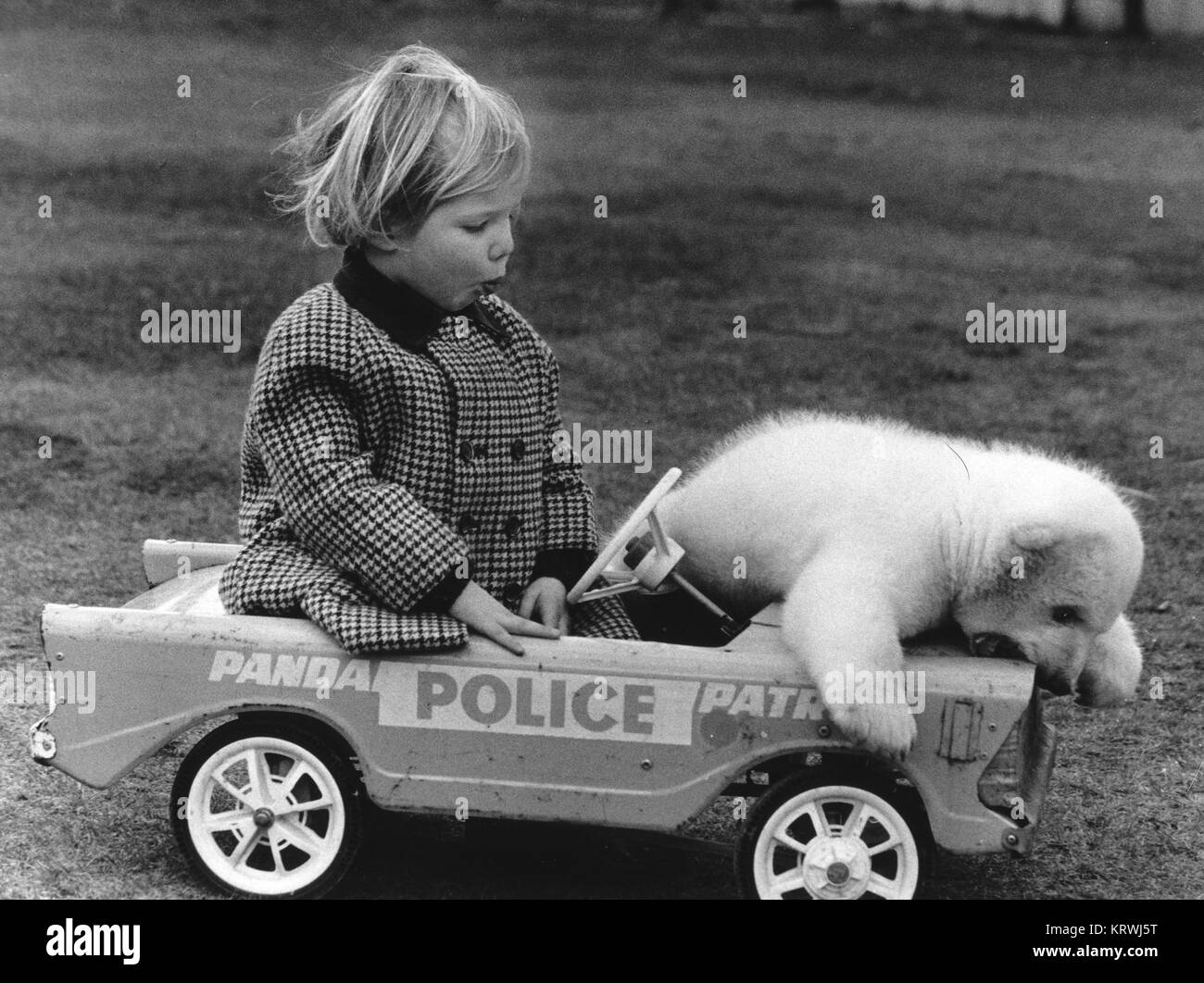 Girls and bears in a toy car, England, Great Britain Stock Photo