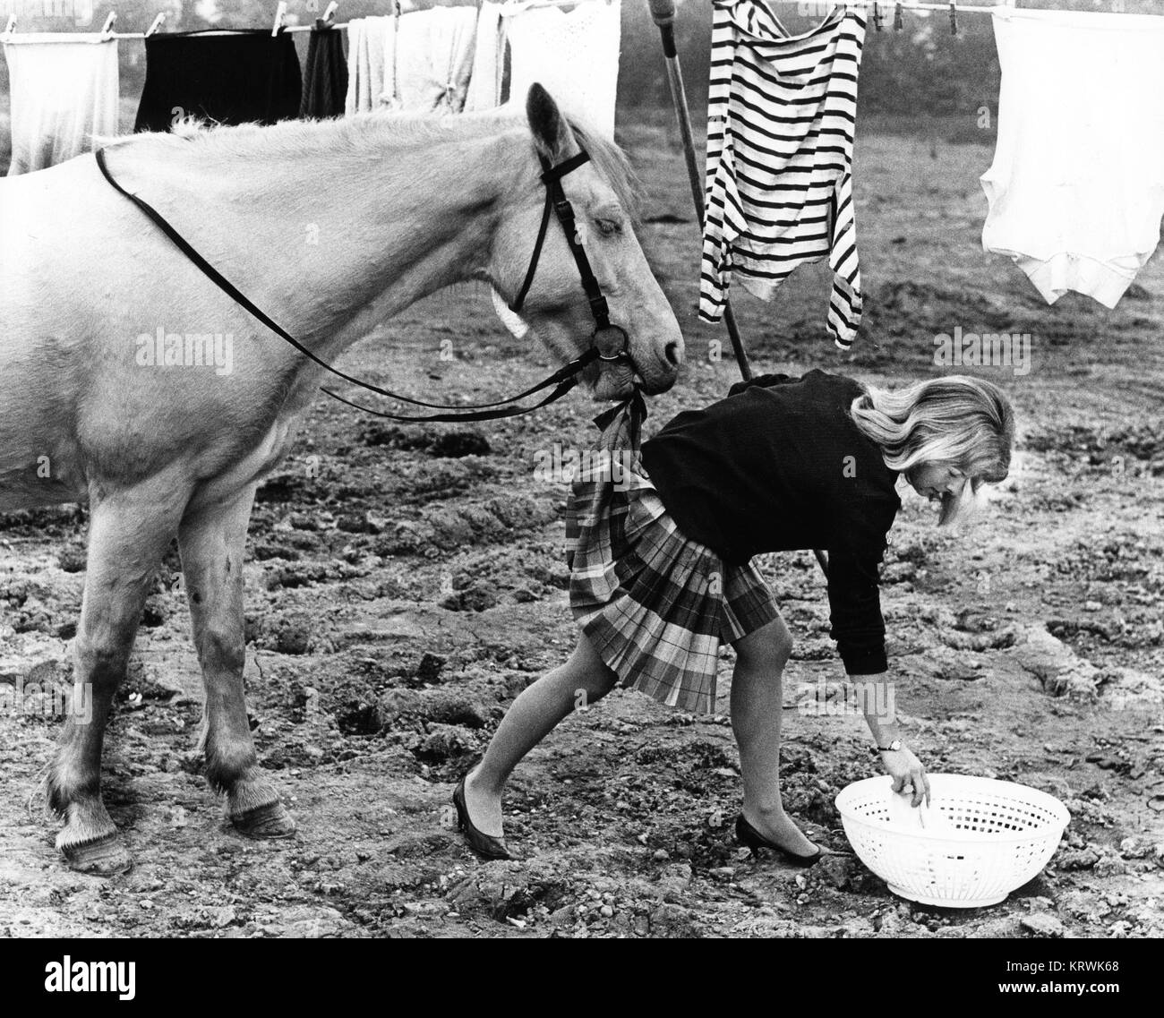 Horse bites into a woman's skirt, England, Great Britain Stock Photo