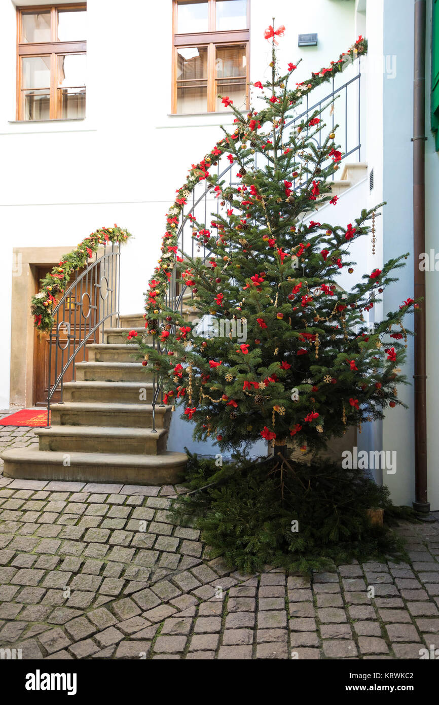 Matson Christmas Tree Shipment 2022 Sun Shine On Tree High Resolution Stock Photography And Images - Alamy
