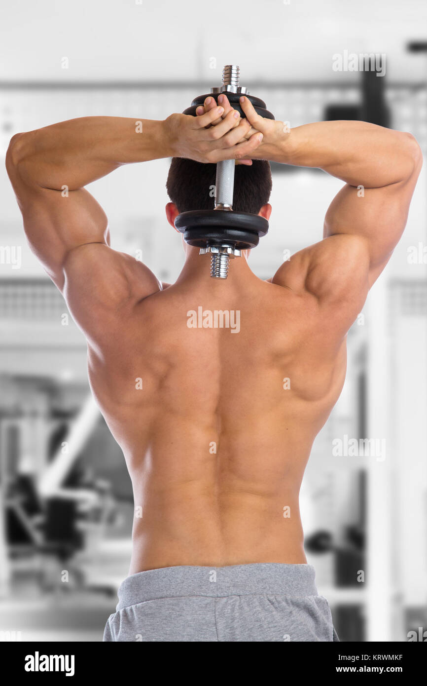 Bodybuilder Bodybuilding Muskeln Training Trizeps Hantel Fitnessstudio Rücken Mann stark muskulös jung Gym Stock Photo