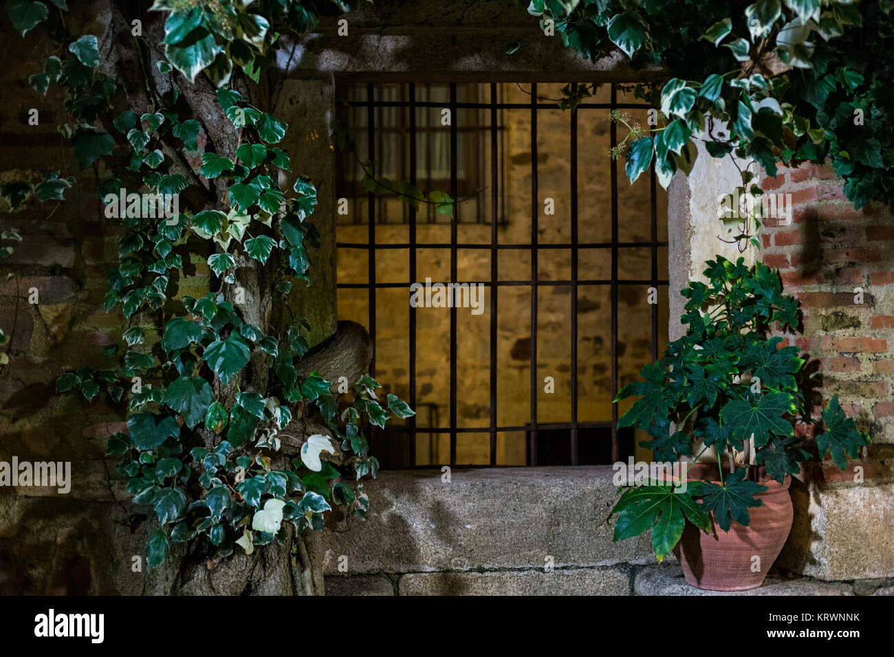 Window of an old garden in Cáceres. Spain. Stock Photo