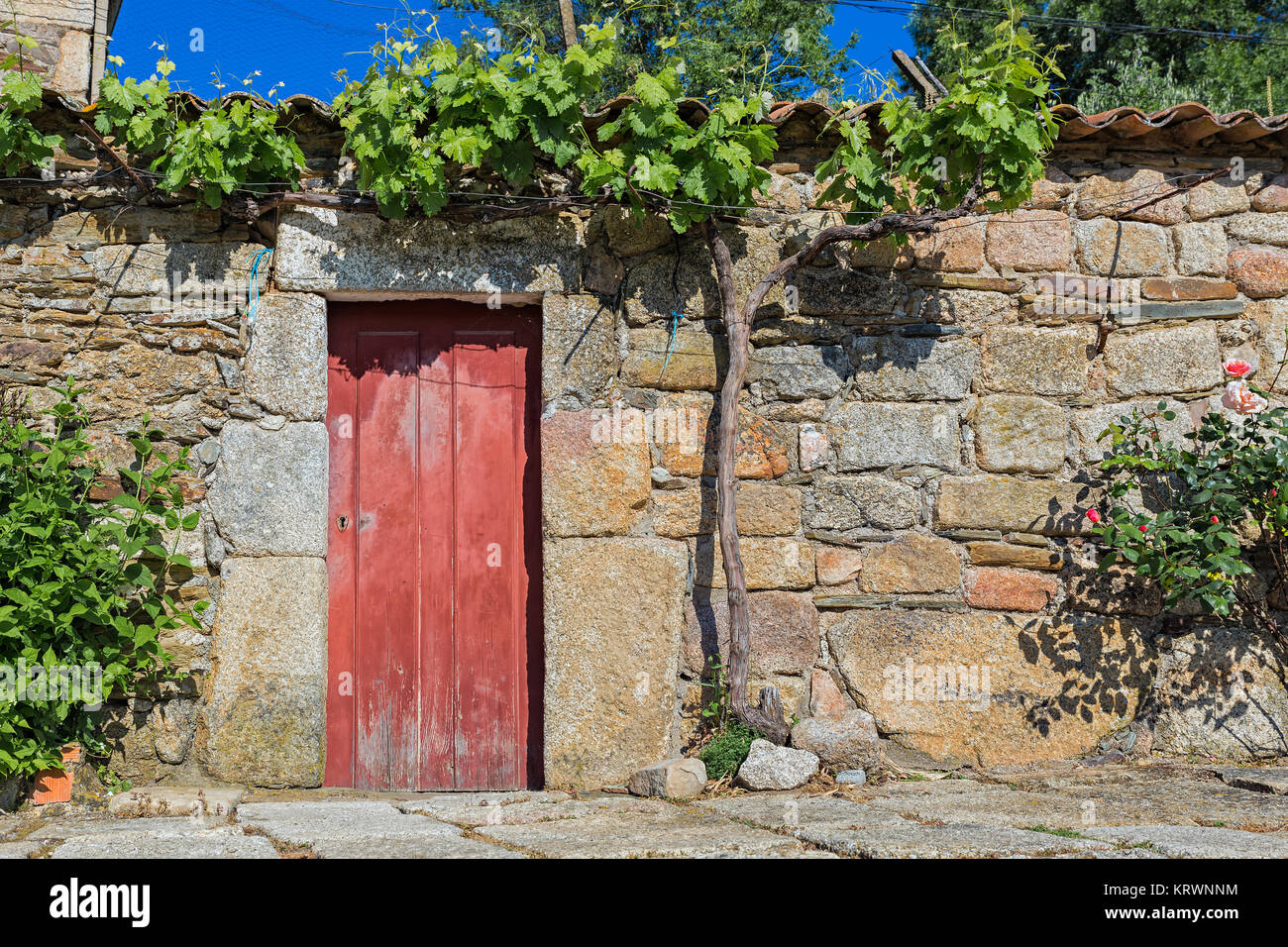 Door photographed in a Portuguese village Stock Photo