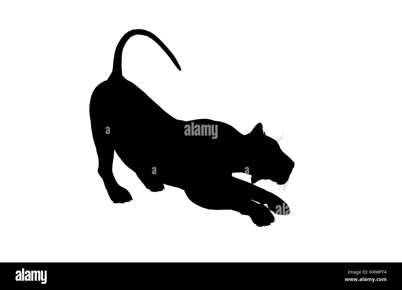 Black lion art illustration silhouette on a white background Stock ...