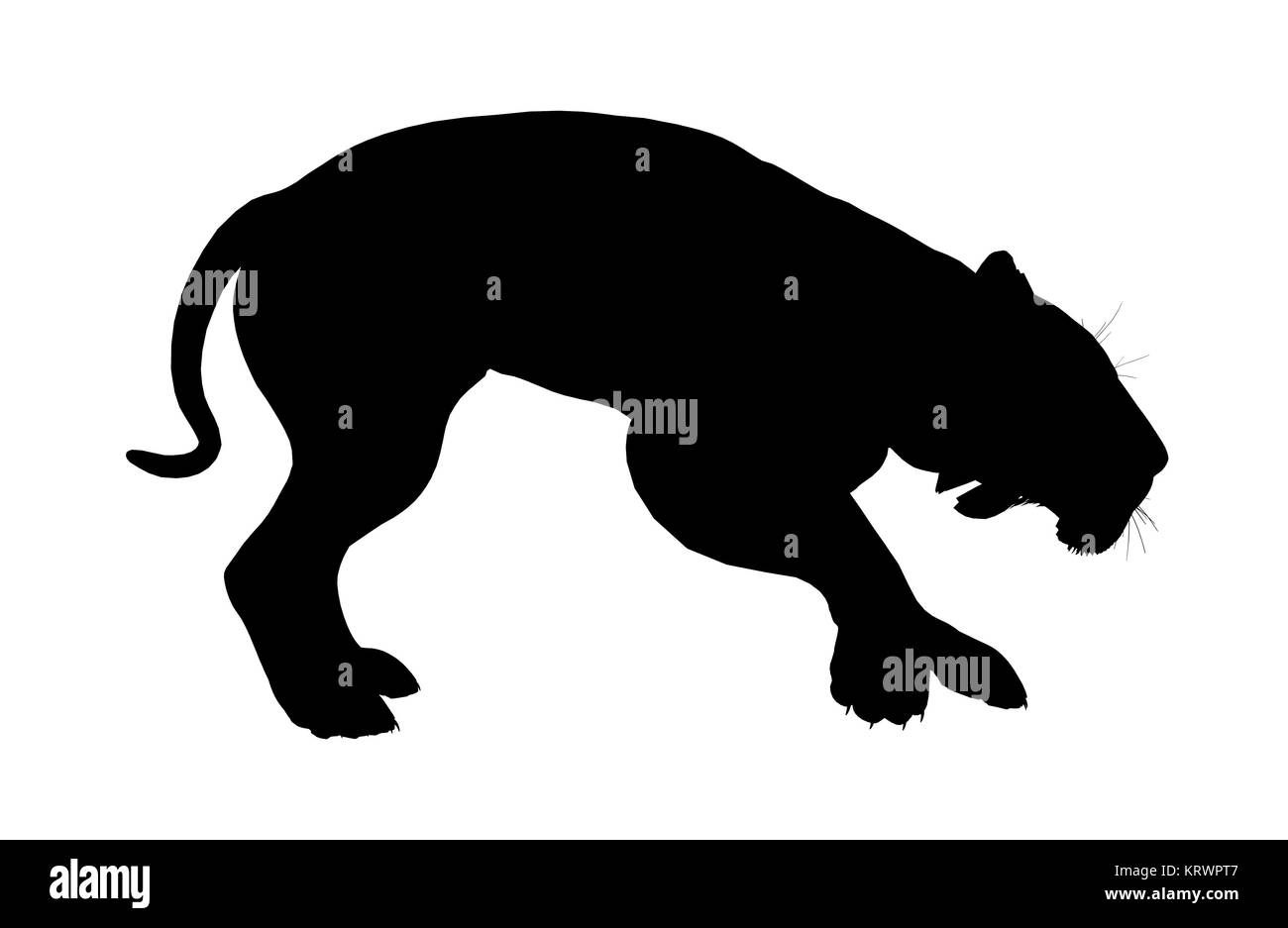 Black lion art illustration silhouette on a white background Stock ...