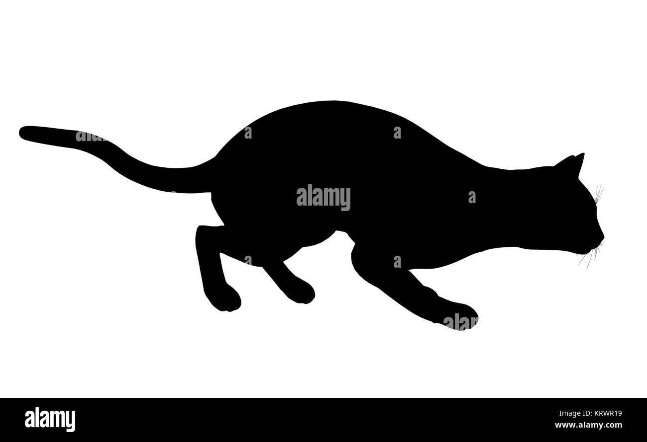 Black Cat Art Illustration Silhouette On A White Background Stock Photo Alamy