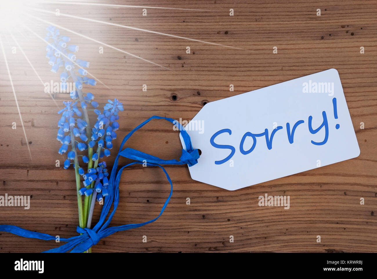 Label With English Text Sorry. Sunny Blue Spring Grape Hyacinth With ...