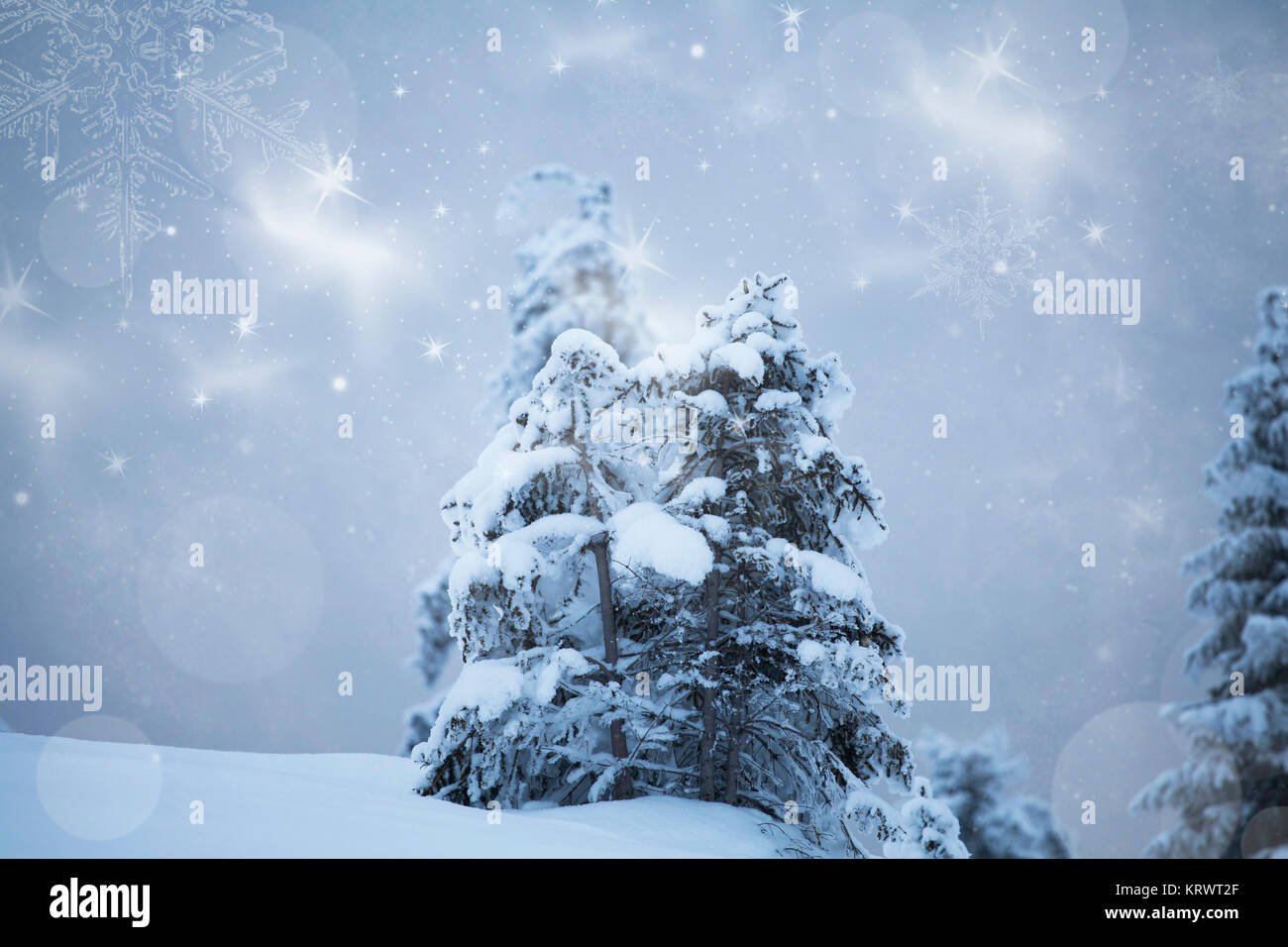 Christmas background with snowy fir trees Stock Photo - Alamy