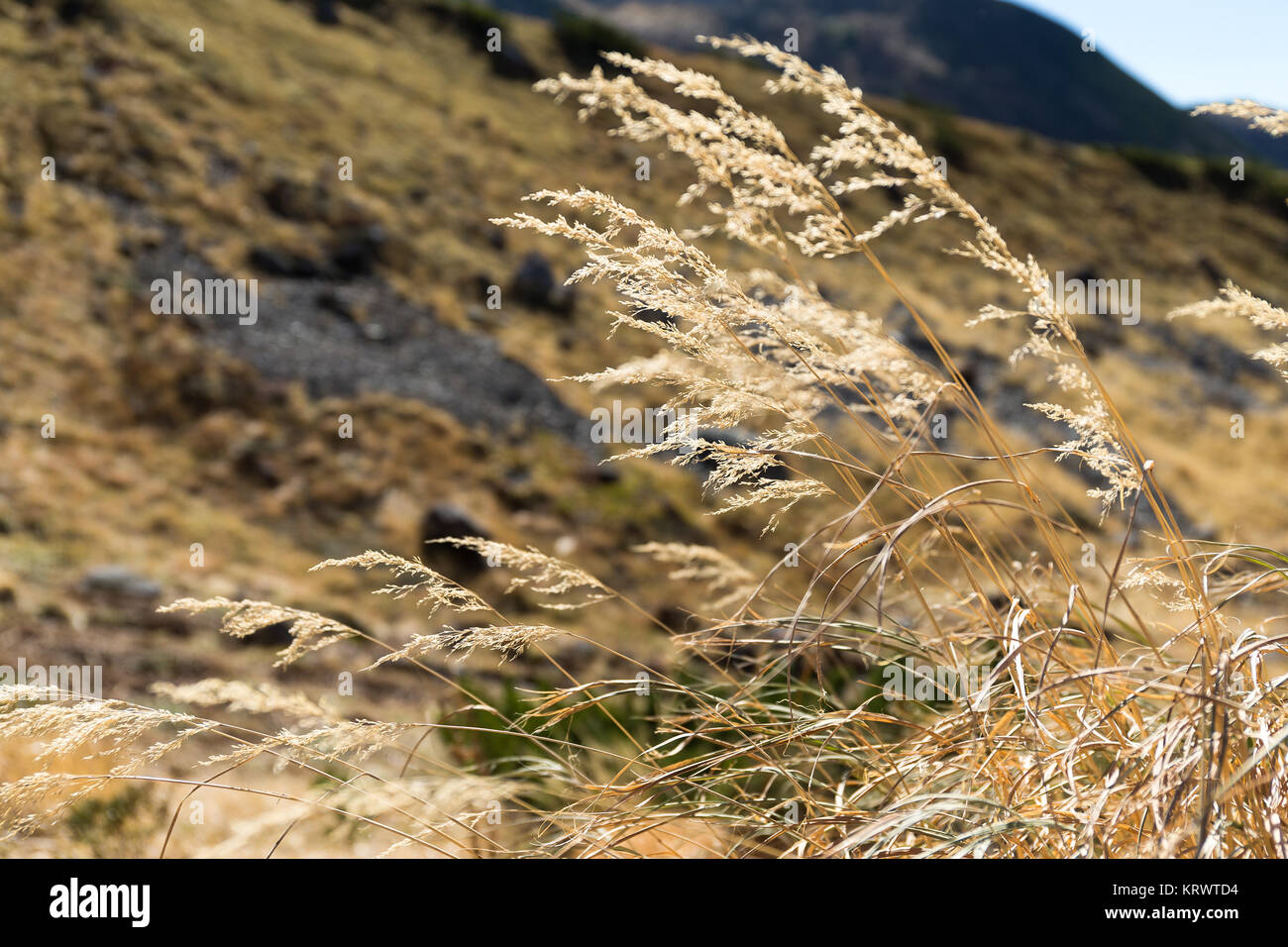 Beautiful autumn landscape Stock Photo - Alamy