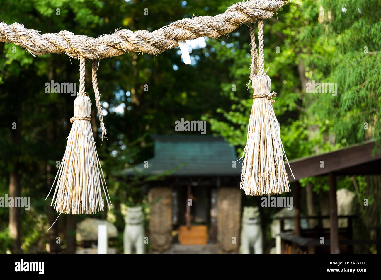 Rope from rice straw in Japanese temple Stock Photo Alamy